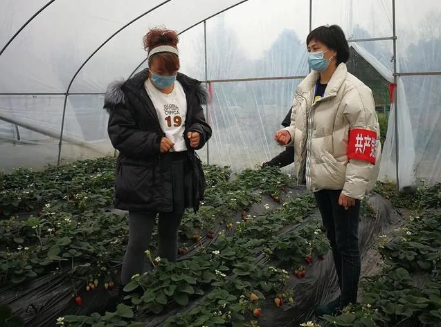 共聚“她”力量魏小英:抗擊疫情走在前,為民排憂解困難