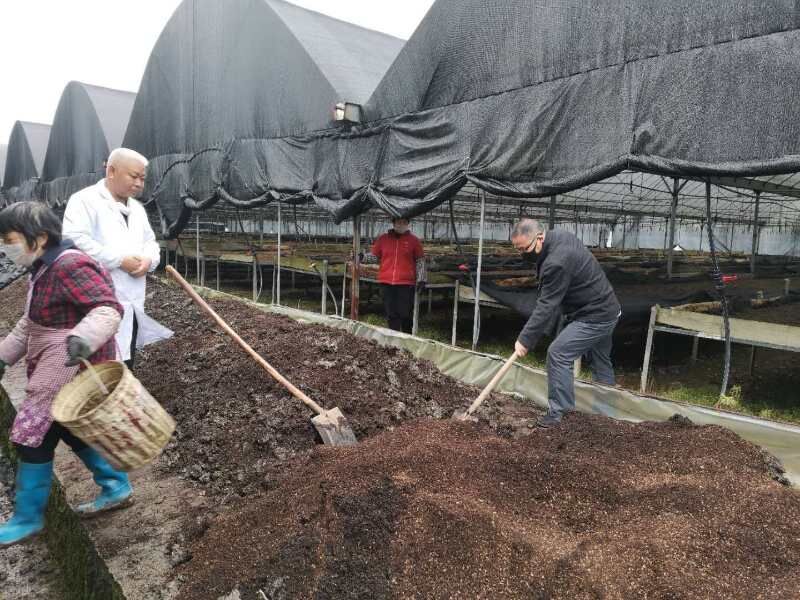 貴州大學邱樹毅院長一行深入貴定縣助力企業復工復產