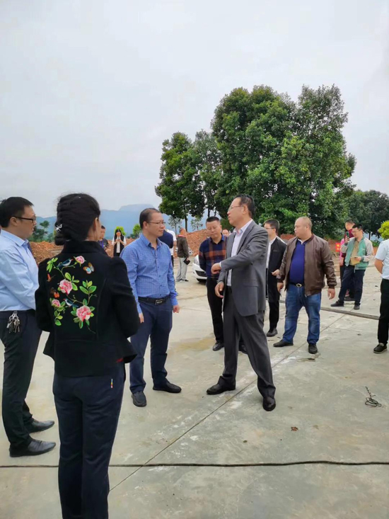 筠連茶爆猛料:初冬采新茶品質提升群眾增收笑開顏