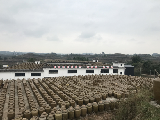 千天百味貢醋:傳承非遺 千天時間曬出黃金品質