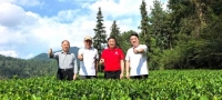 老領導一行到湄潭縣茅臺村茅珍茶業集團干凈黔茶公司生態茶園指導